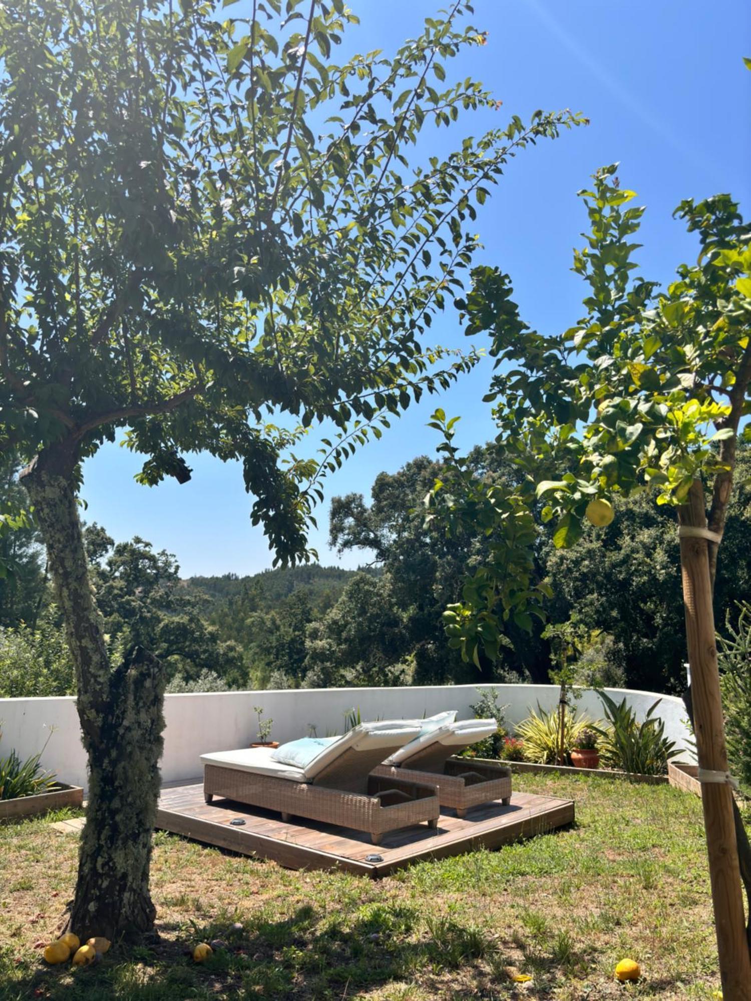 Bed and Breakfast Casa Da Oliveira Педроган-Гранде Екстер'єр фото