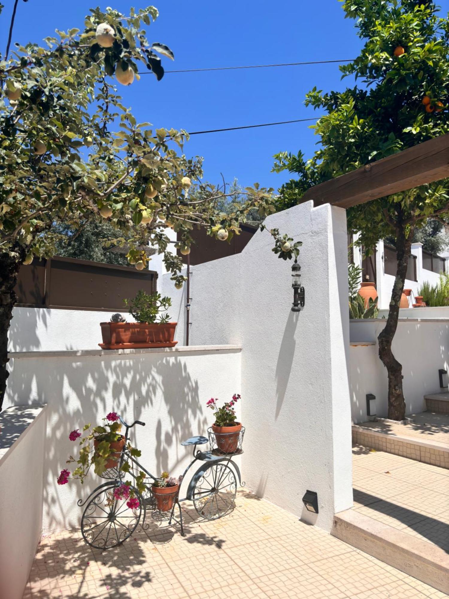Bed and Breakfast Casa Da Oliveira Педроган-Гранде Екстер'єр фото